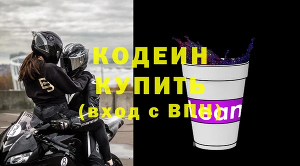 молекула духа Бородино