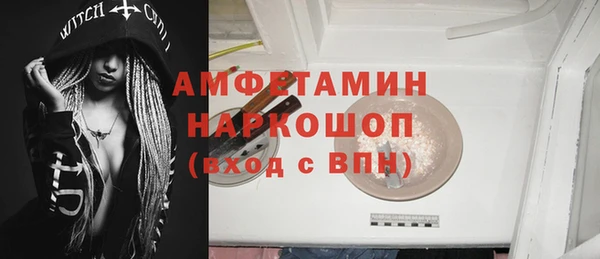 молекула духа Бородино