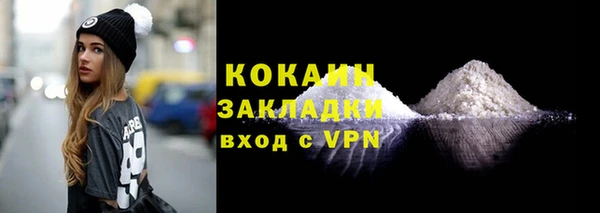 молекула духа Бородино