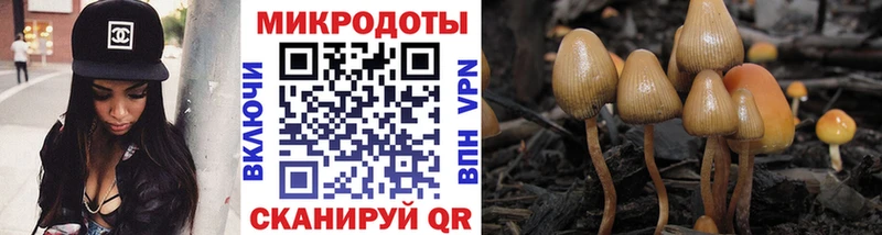 shop состав  ОМГ ОМГ tor  Архангельск  Галлюциногенные грибы MAGIC MUSHROOMS 