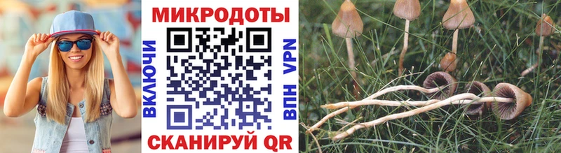 Галлюциногенные грибы GOLDEN TEACHER Архангельск